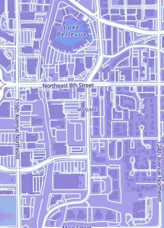 Street map around Collector's Corner NW, Bellevue