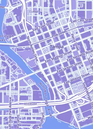 Street map around Golden Treasure Collectables, LLC, Tampa