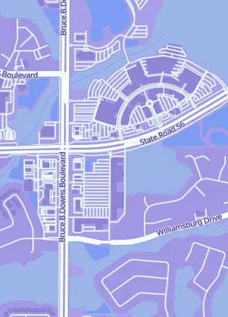 Street map around N4Ytcg, Wesley Chapel