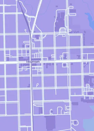 Street map around Ring Sportscards, Tecumseh