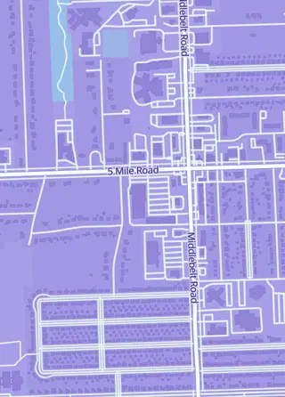 Street map around Riw Hobbies, Livonia