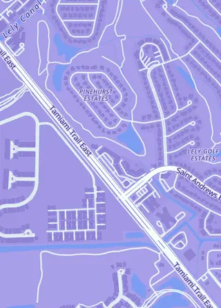 Street map around Super Anime Store - Naples, Naples