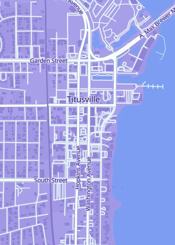 Street map around The Infinite Mushroom Comic & Game Shop, 342 S Washington Ave, Titusville, FL